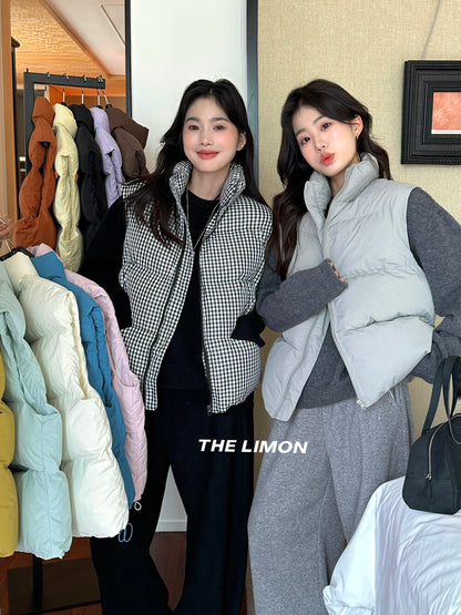 【L9309】實拍檸檬秋冬基礎款寬鬆百搭口袋拉鍊背心（內裡鋪棉）251117