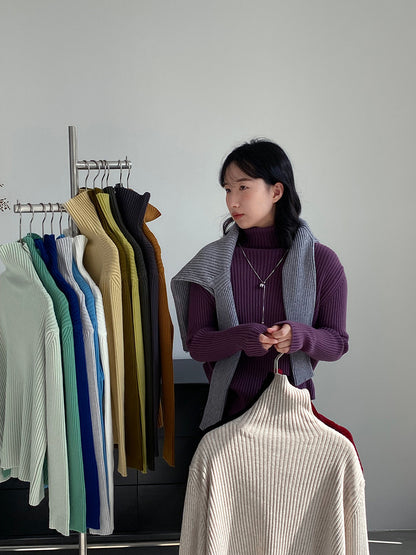 【cimz1388】實拍高領加厚高級感針織毛衣251128