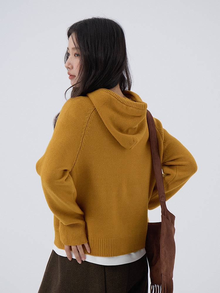 【LD3280】實拍慵懶小個子抽繩連帽針織毛衣251103