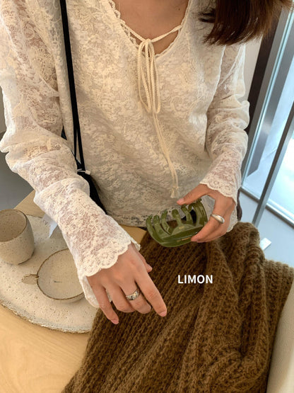 【L11209】檸檬家精緻重工・繡花蕾絲V領長袖上衣260909