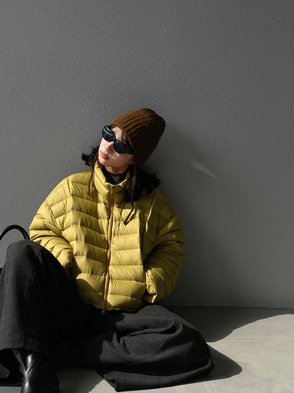 【cimz6383】實拍高領寶款排骨白鴨絨外套（白鴨絨90）251120