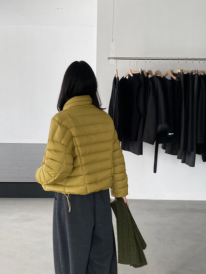 【cimz6383】實拍高領寶款排骨白鴨絨外套（白鴨絨90）251120