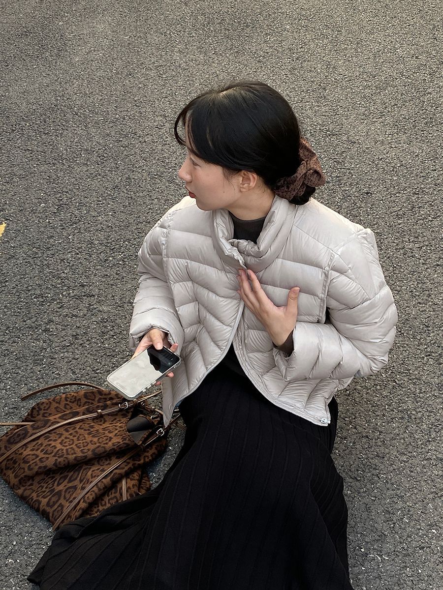 【cimz6383】實拍高領寶款排骨白鴨絨外套（白鴨絨90）251120