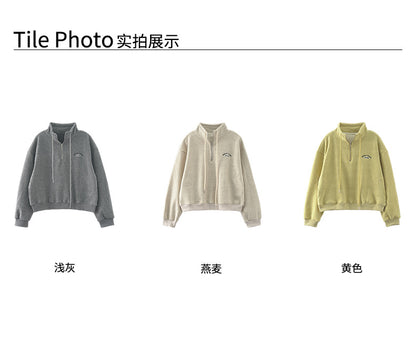 【H5552】實拍休閒刺繡絨面半拉鍊立領大學T251216