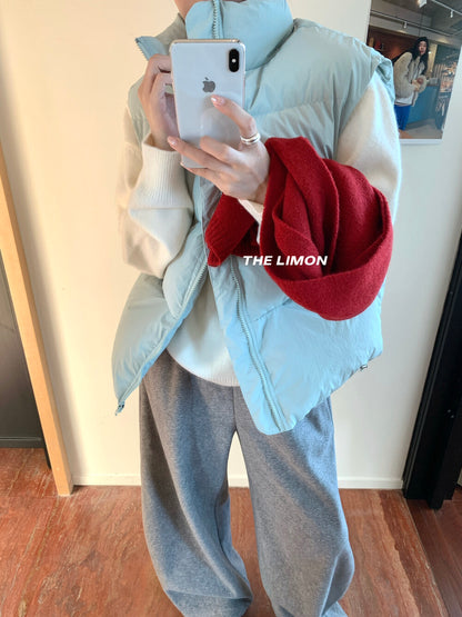 【L9309】實拍檸檬秋冬基礎款寬鬆百搭口袋拉鍊背心（內裡鋪棉）251117