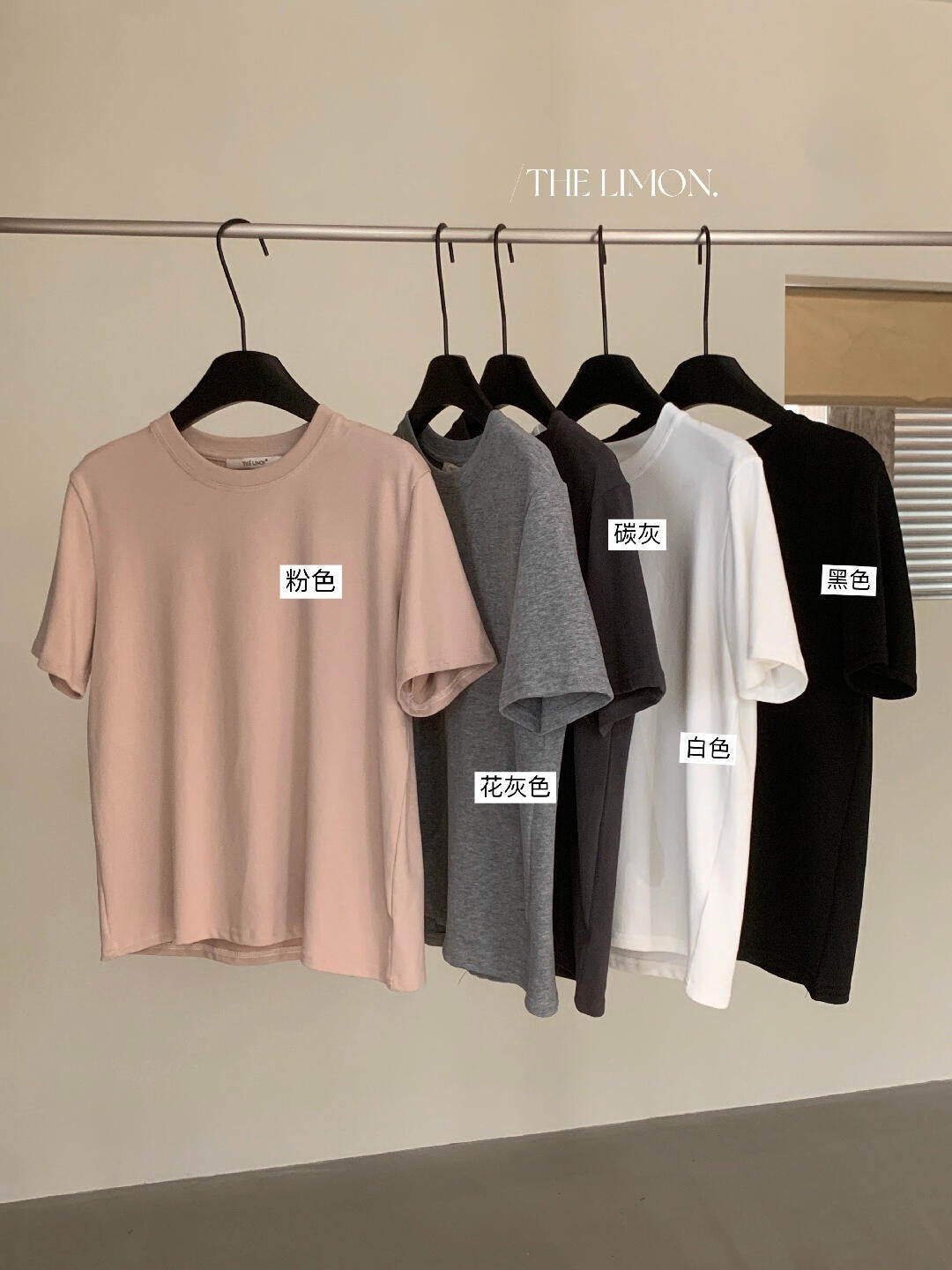 【L11059】檸檬早秋韓系簡約後背虛線小馬刺繡寬圓領寬鬆短袖T恤260728