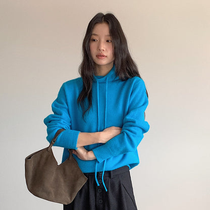 【LD3294】實拍慵懶復古立領羊駝絨針織衫251103