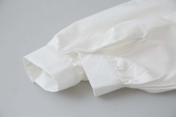 【LD3194】實拍秋冬個性立領飄帶襯衫251110