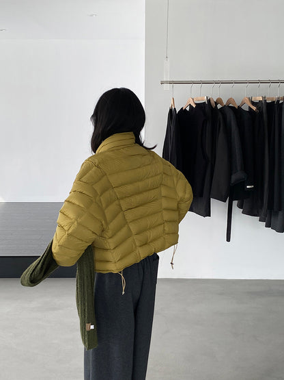 【cimz6383】實拍高領寶款排骨白鴨絨外套（白鴨絨90）251120