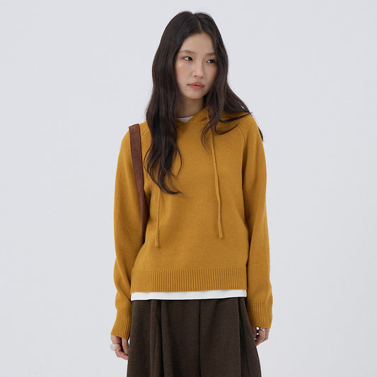 【LD3280】實拍慵懶小個子抽繩連帽針織毛衣251103