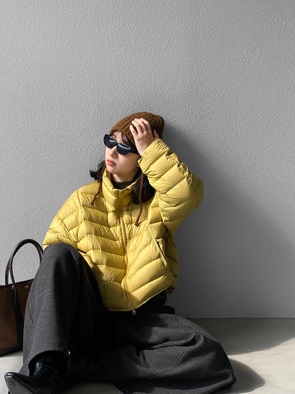 【cimz6383】實拍高領寶款排骨白鴨絨外套（白鴨絨90）251120