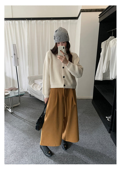 【H5491】實拍秋冬毛呢鬆緊腰加厚闊腿休閒褲251109