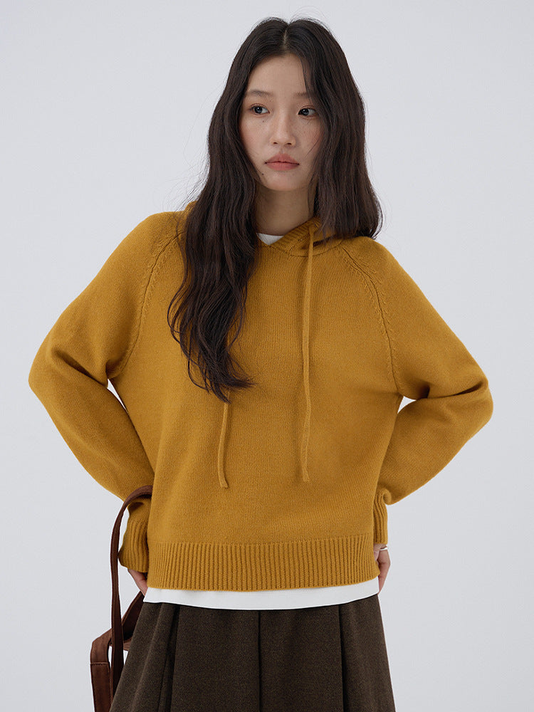 【LD3280】實拍慵懶小個子抽繩連帽針織毛衣251103