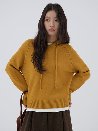 【LD3280】實拍慵懶小個子抽繩連帽針織毛衣251103