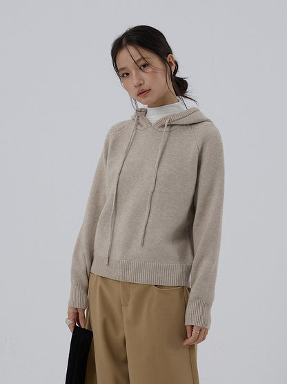 【LD3280】實拍慵懶小個子抽繩連帽針織毛衣251103