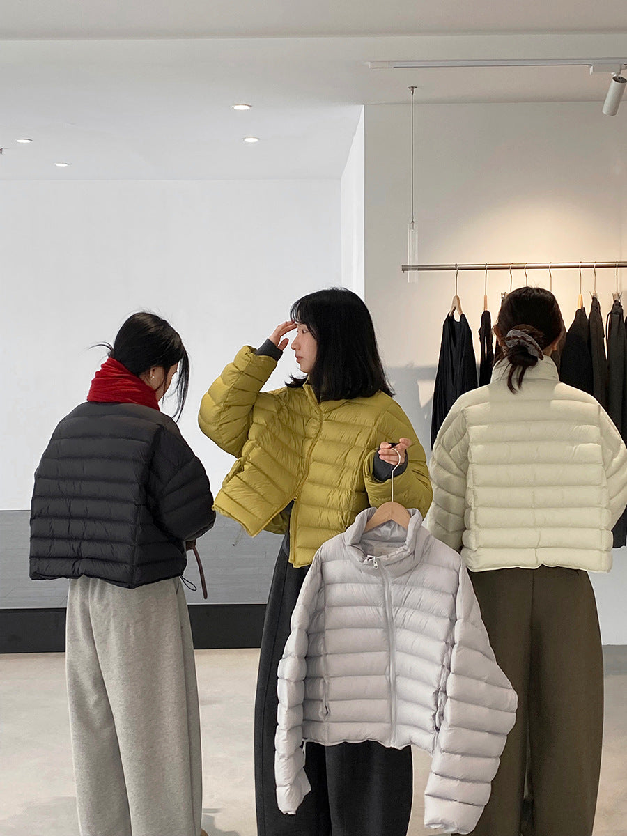 【cimz6383】實拍高領寶款排骨白鴨絨外套（白鴨絨90）251120