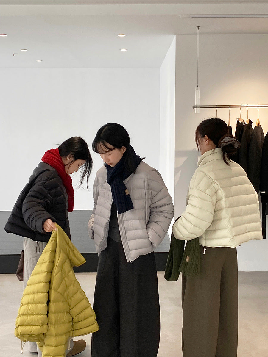 【cimz6383】實拍高領寶款排骨白鴨絨外套（白鴨絨90）251120